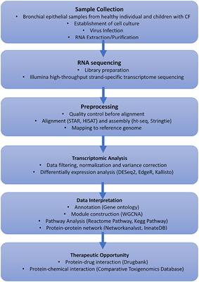 Elucidating the Interaction of CF Airway Epithelial Cells and <mark class="highlighted">Rhinovirus</mark>: Using the Host-Pathogen Relationship to Identify Future Therapeutic Strategies